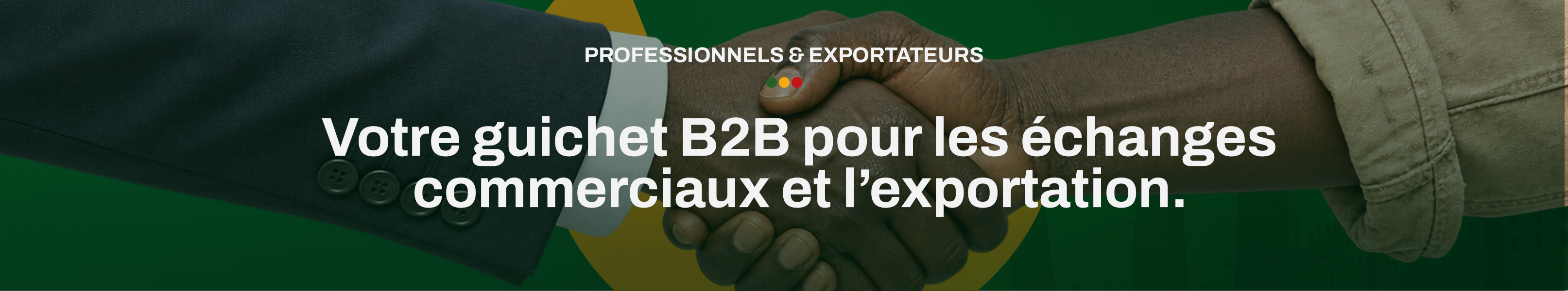 Votre guichet B2B pour les échanges commerciaux et l'exportation — découvrir le catalogue