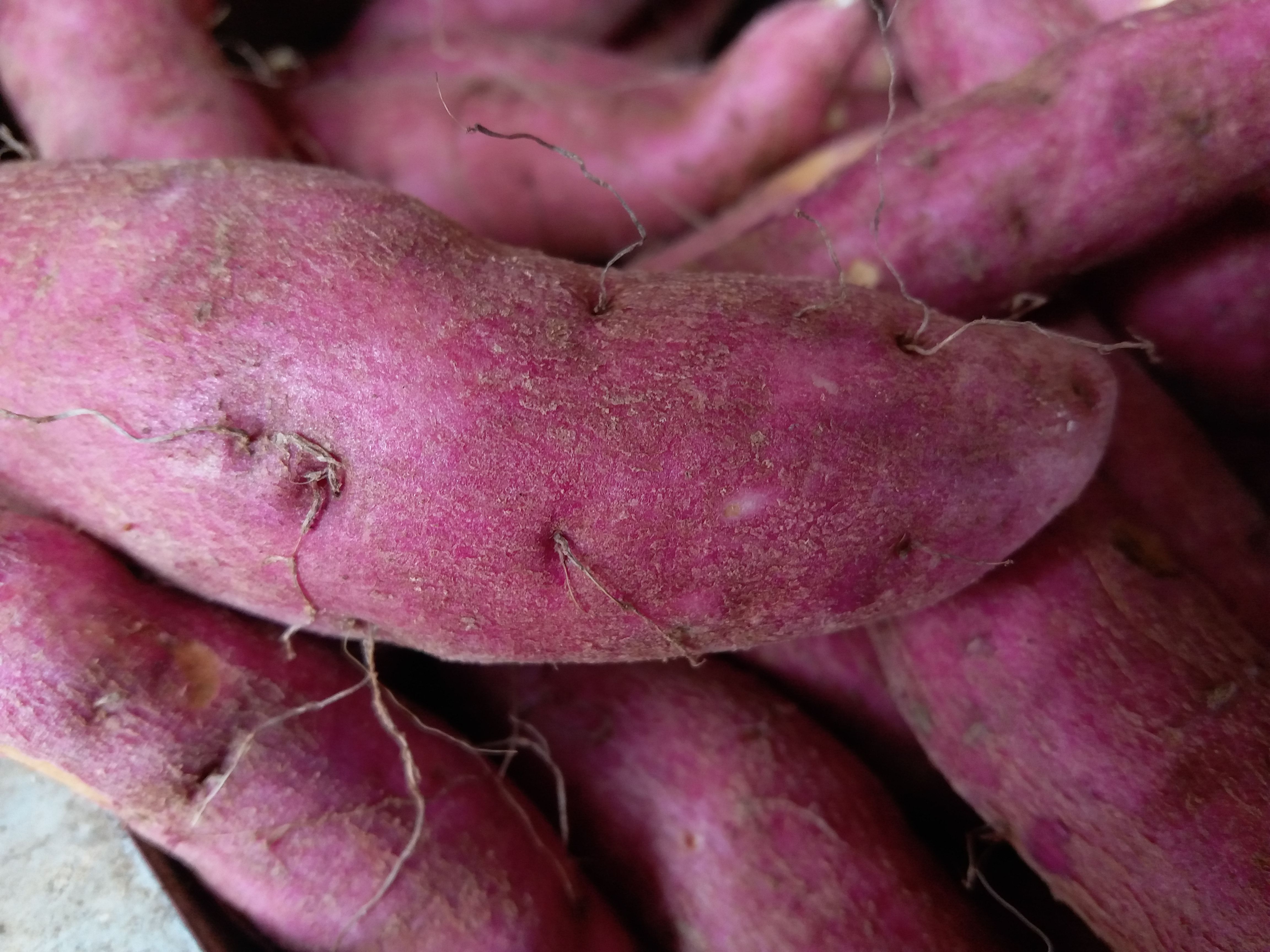 Patate