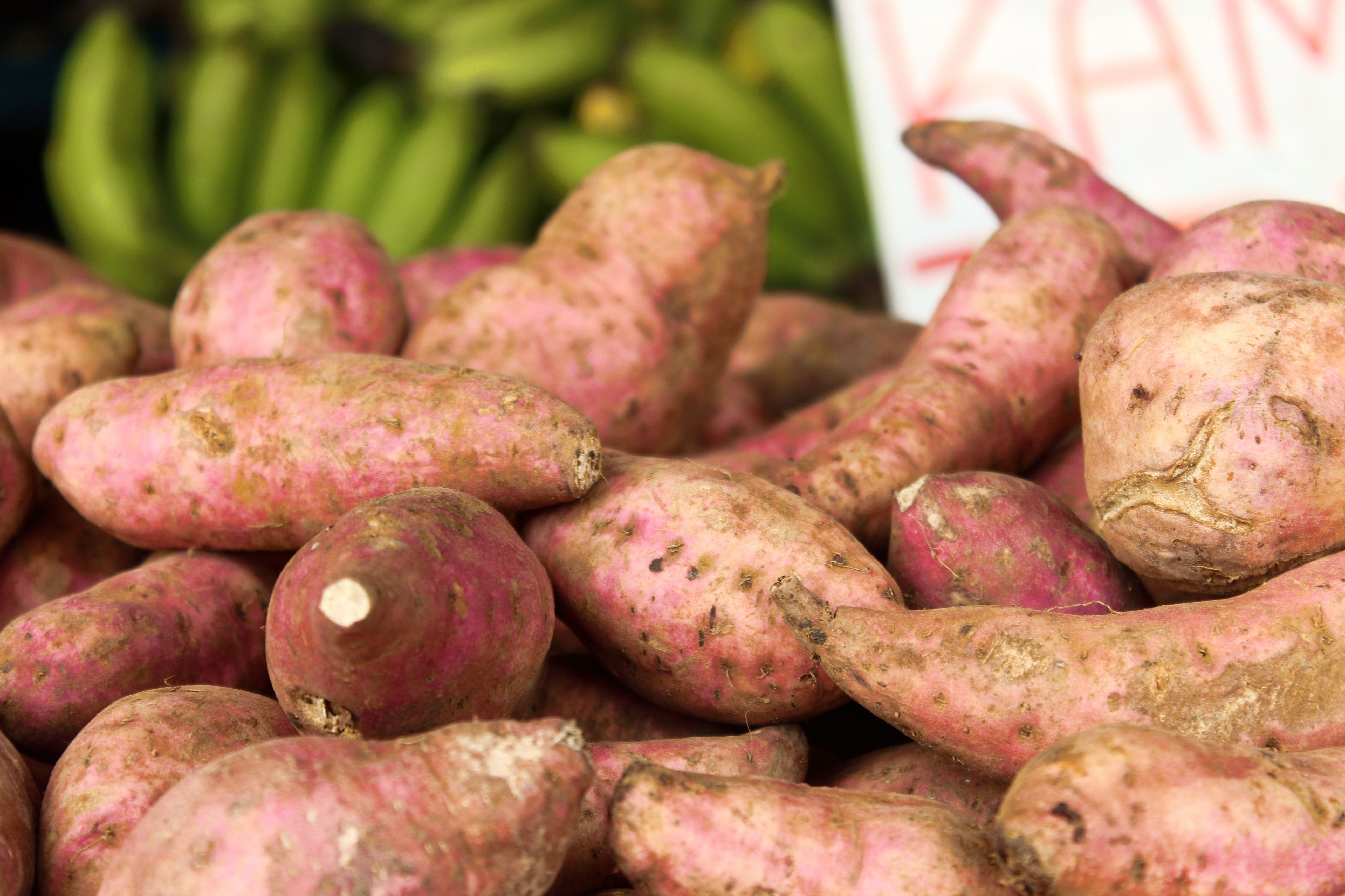 Patate