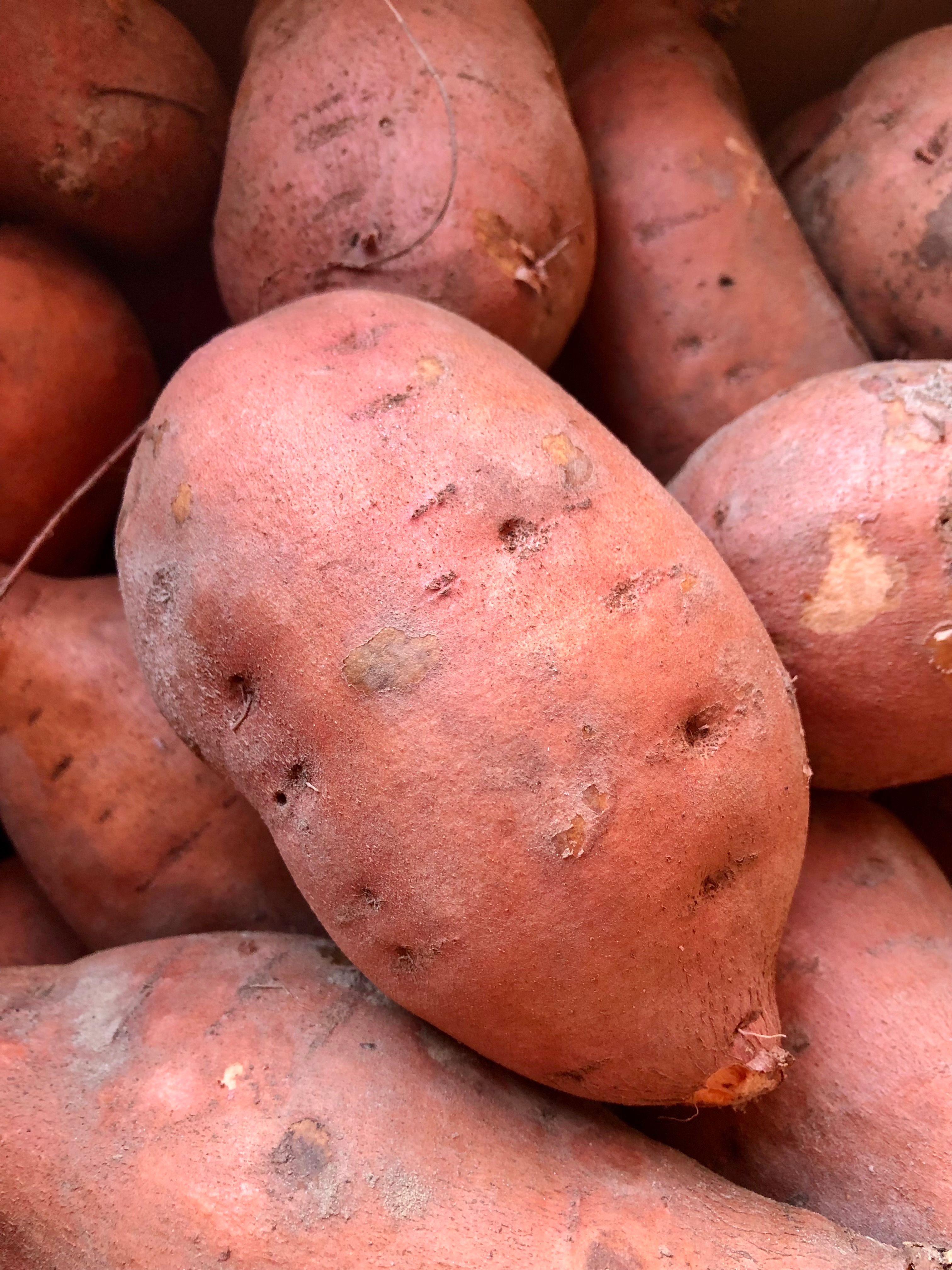 Patate